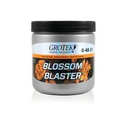 Blossom Blaster 500Gr