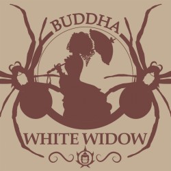 WHITE WIDOW 1U. Fem Buddha Seeds