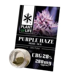 Polen CBG 28% Purple Haze