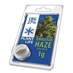 Solid 27% CBG Amnesia Haze 1 gr.