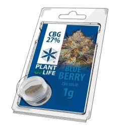 Solid 27% CBG Blueberry 1 gr.