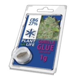Solid 27% CBG Gorilla Glue 1 gr.
