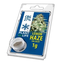 Solid 27% CBG Lemon Haze 1 gr.