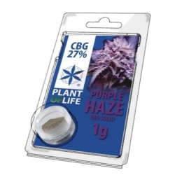 Solid 27% CBG Purple Haze 1 gr.