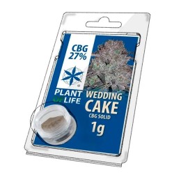 Solid 27% CBG Wedding Cake 1 gr.