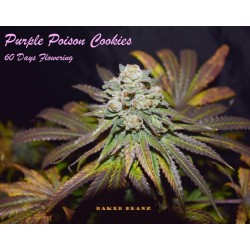 Purple Poison Cookies (Pack...